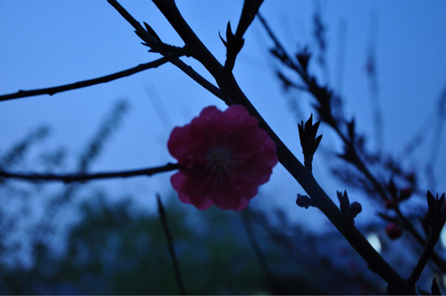 人生需要沉淀 宁静才能致远 学会-手机随手拍-