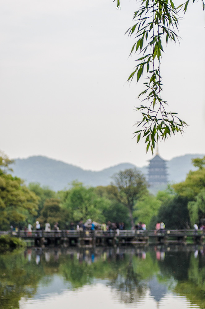 波光潋滟柳条柔---欧阳修《浪淘沙》-边走边拍