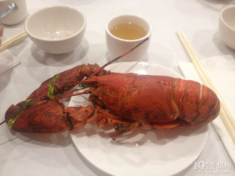 3.28-4.7美國東部 半自助 第一次飛出亞洲