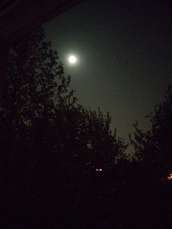 今晚的月亮好圆-手机随手拍-杭州19楼