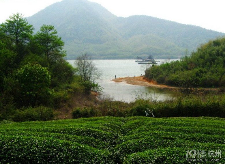 【环莫干湖】-骑行游记-单车生活-杭州19楼