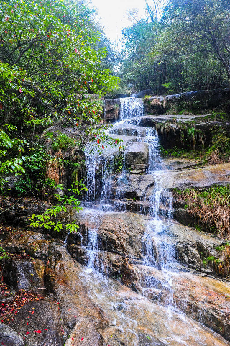 江西婺源卧龙谷,挺美的山谷-风景照-19摄区-杭