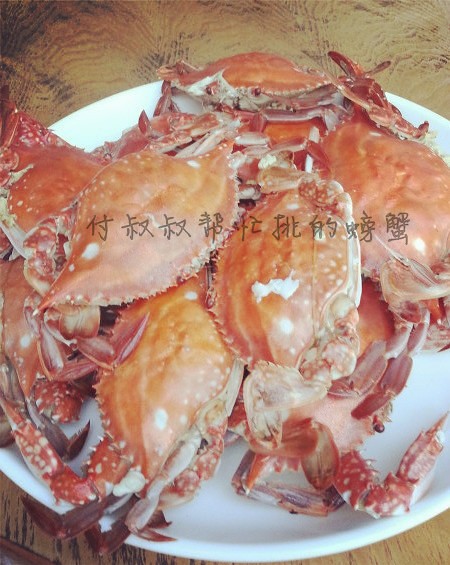 2014嵊泗列岛旅游攻略推荐-游览-嵊泗列岛-杭