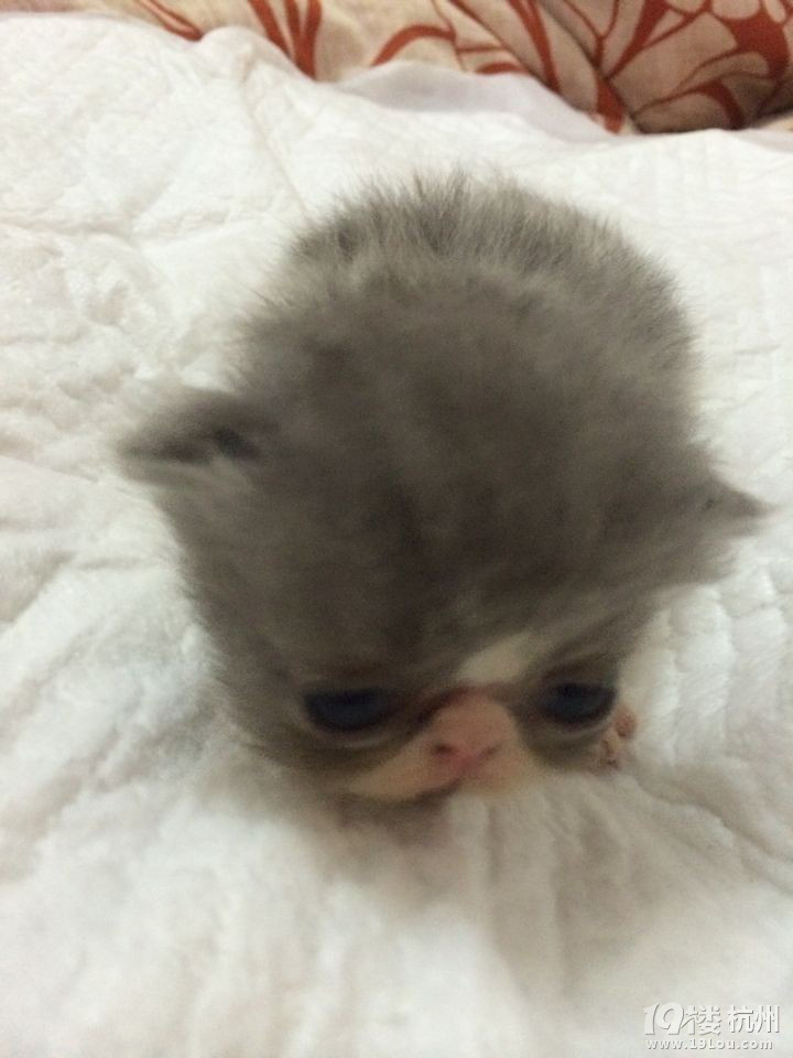 O~ź_