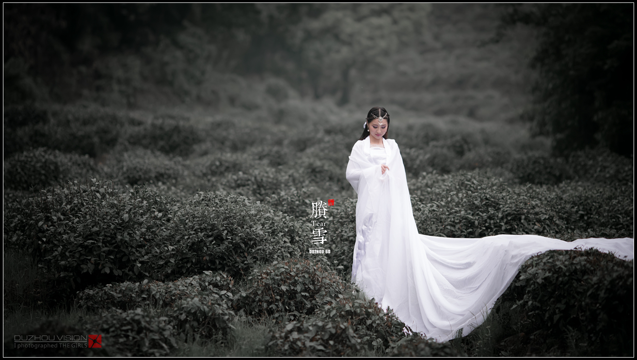 传の白衣胜雪】===