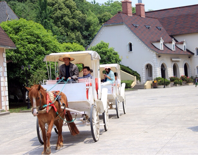天都公园随拍-手机随手拍-杭州19楼