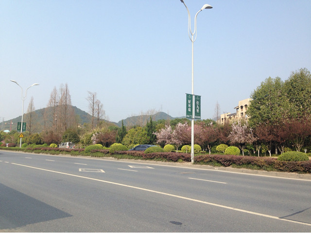 大路边,春意盎然.