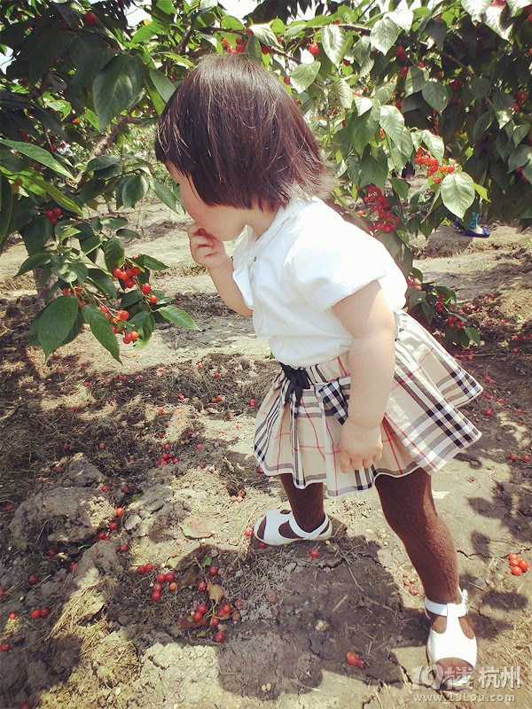 22个月,纪念下第一次摘樱桃。-宝宝秀-妈咪宝宝