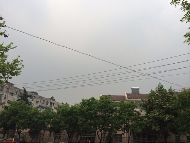 爱情来的太快 就像龙卷风 离不开