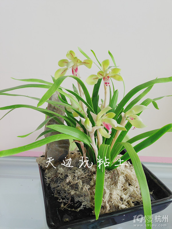 粘土---------細(xì)葉春蘭