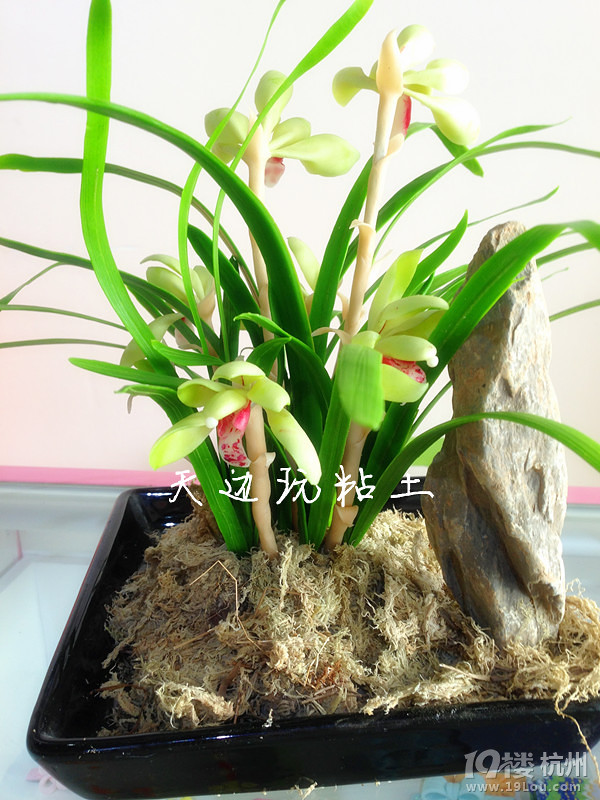 粘土---------細(xì)葉春蘭
