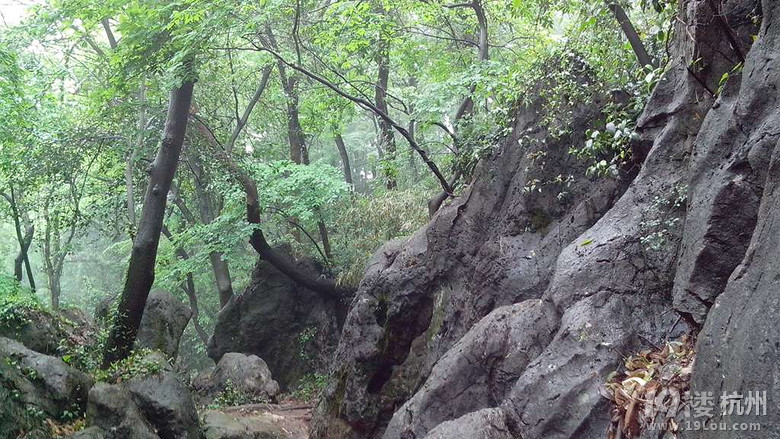 雨后的万松书院-行行色色-户外运动-杭州19楼