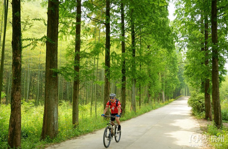 【环莫干湖】-骑行游记-单车生活-杭州19楼