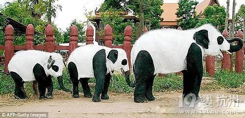 给孩子一个不一样的暑假 一边旅游一边学英语