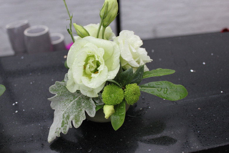 一张<em>照片一杯咖啡</em>一枝花-扫街小分队-边走边拍