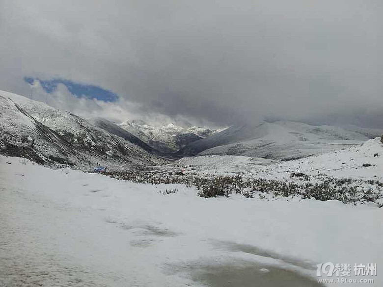 浙江美丽乡村经济文化研究院招聘-发展部,宣传