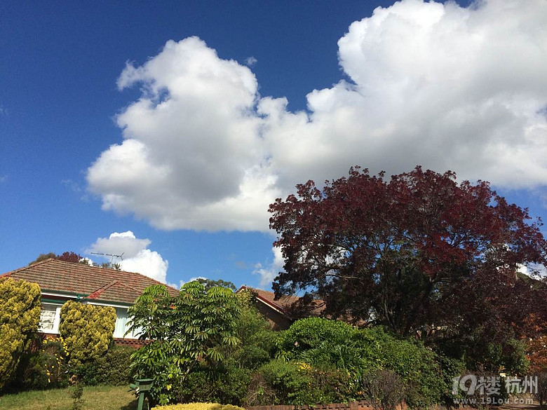 浙江美丽乡村经济文化研究院招聘-发展部,宣传