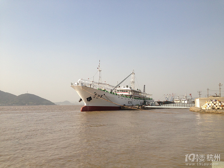 浙江美丽乡村经济文化研究院招聘-发展部,宣传