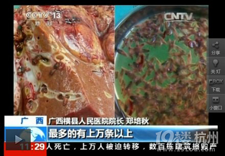 淡水鱼生鱼片有肝吸虫 肝脏能长上万条虫子-食用八卦-美食俱乐部-杭州19楼