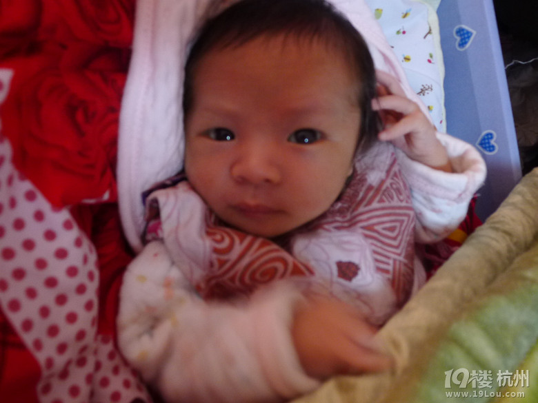 【bobo成长换新季】十一带给我的成长惊喜-活