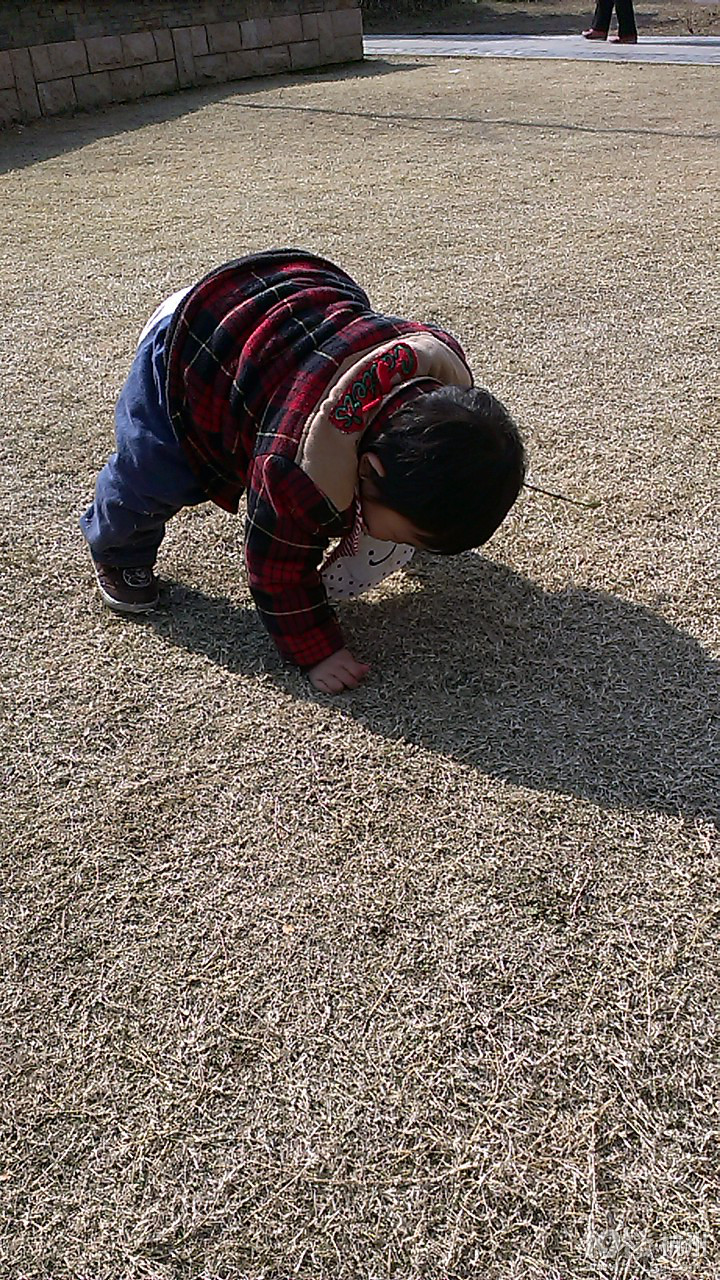 【bobo成长换新季】十一带给我的成长惊喜-活