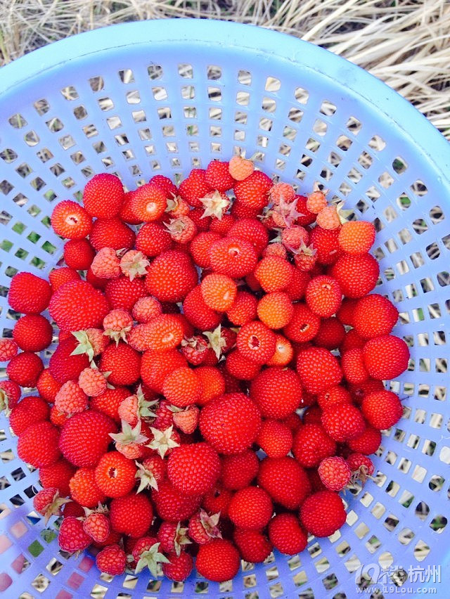 吃貨這里看——美景美食美中餐
