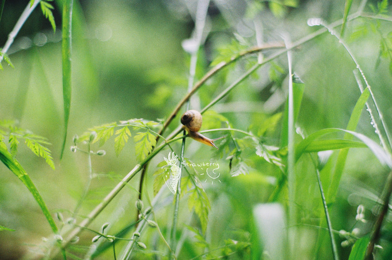 A heavy rain  