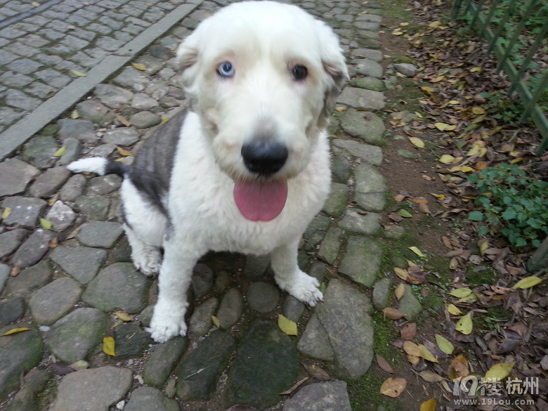 结伴一起去封闭式减肥训练营-瘦身-结伴健身-杭