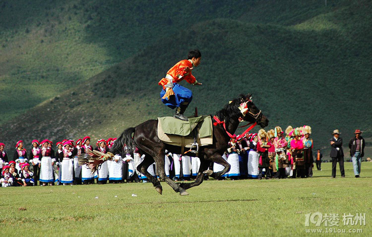 2014香格里拉賽馬節(jié)攻略