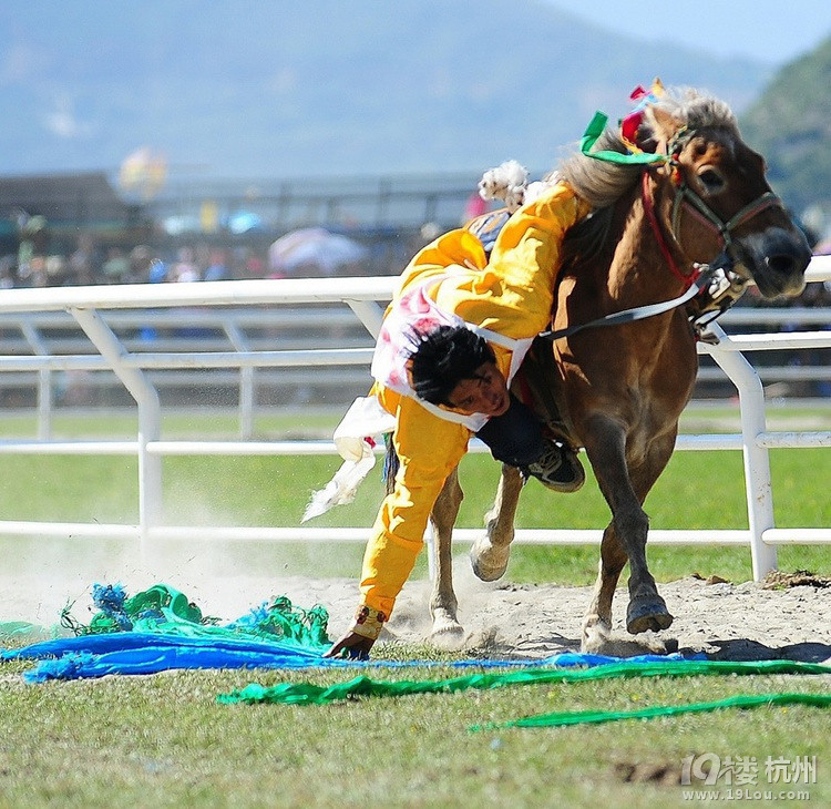 2014香格里拉賽馬節(jié)攻略