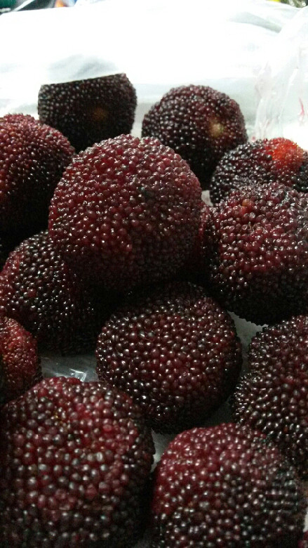 <em>马甲语录</em>: 面子是别人给的-手机随手拍-杭州19