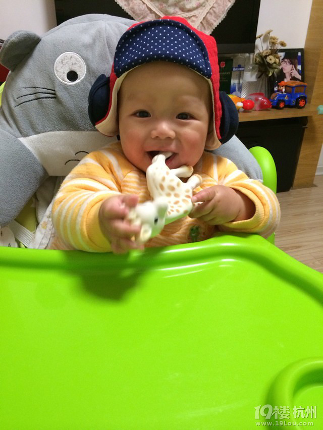 小哈尼,有奶便是娘这样真的好吗?一个奶嘴就把