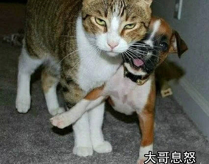 <em>19楼</em>你要作死咯…我的<em>女配</em>剑修录-浓情小说-杭