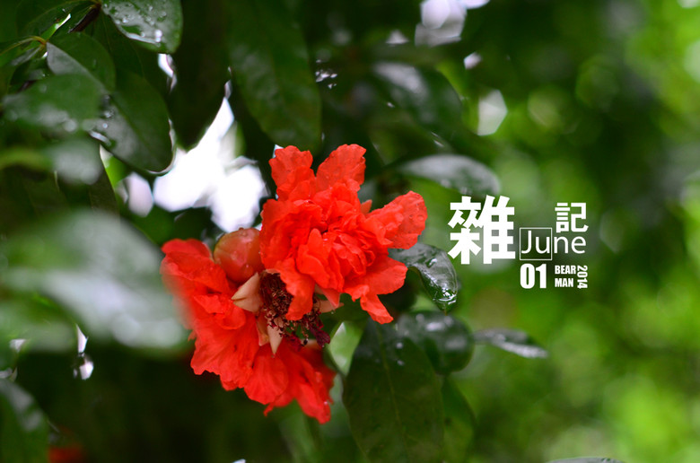 sӛjune 01