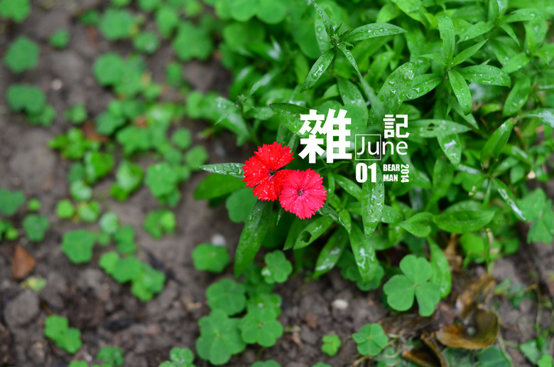 sӛjune 01