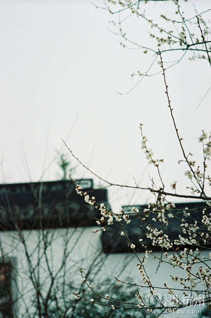 【杭州城事】三生石:悬念制造-杭州旅游攻略-大