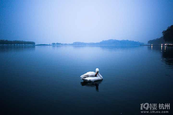 【杭州城事】三生石:悬念制造-杭州旅游攻略-大