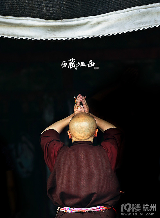 D(zhun)ɽ8.2--11 D(zhun)ɽ+Ÿ