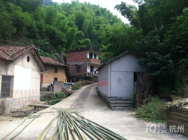 江郎山--仙霞古道--廿八都薰衣草--箬山梯田深度游