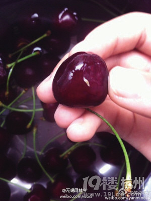 车厘子泡出小虫 车厘子是否蒙受了不白之冤?-