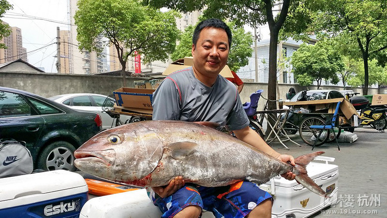 东海章红也疯狂