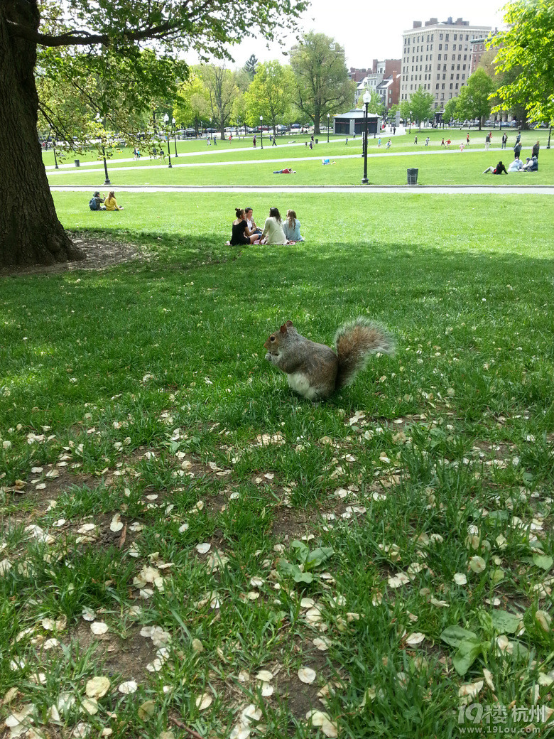 5月USA之行,我会记得-- 波士顿,纽约,赌城,洛杉