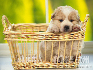 找小说~~-我要提问-新人大本营-杭州19楼