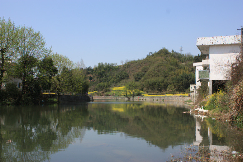 换个镜头还是重新买个相机?