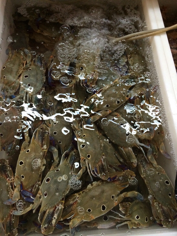 三亚自购海鲜美食-美食俱乐部-杭州19楼