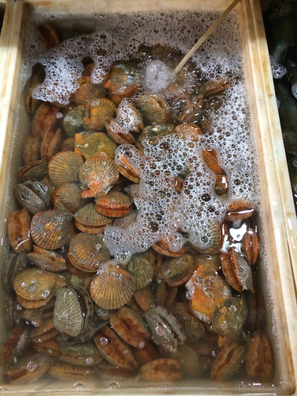 三亚自购海鲜美食-美食俱乐部-杭州19楼