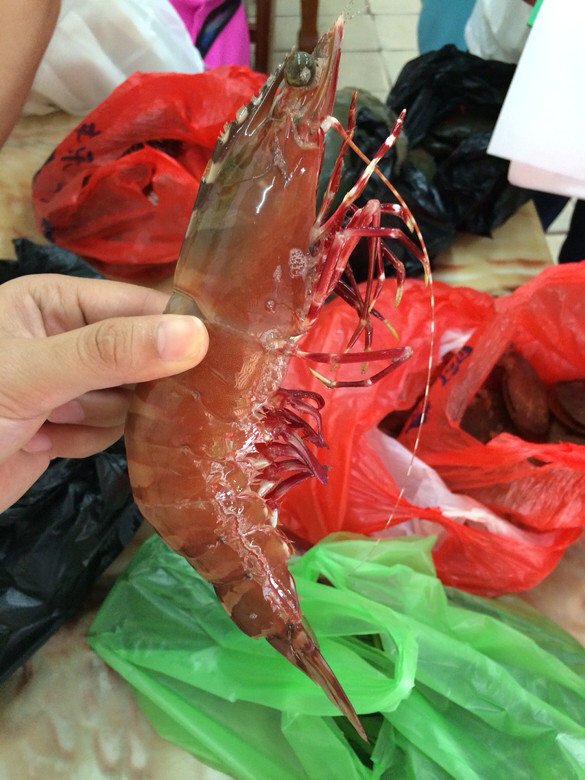 三亚自购海鲜-美食俱乐部-杭州19楼