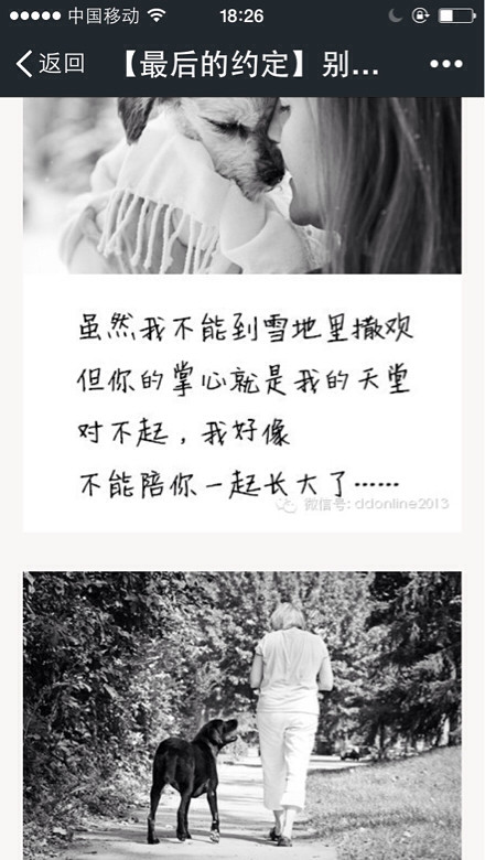 middle_440x780-182935_14601404556175197_f36f13e8eee0611ee19a841cf660c9d8.jpg