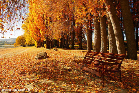 晓来谁染霜林醉,总是离人泪-手机随手拍-杭州1
