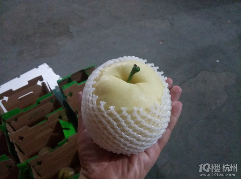 梨花开 春带雨 梨花落 春入梨-2014年严州白梨